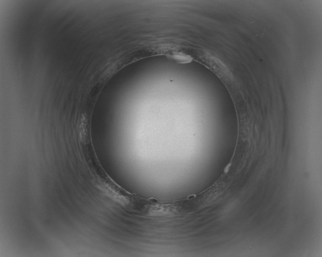 X0000083000077200702160100