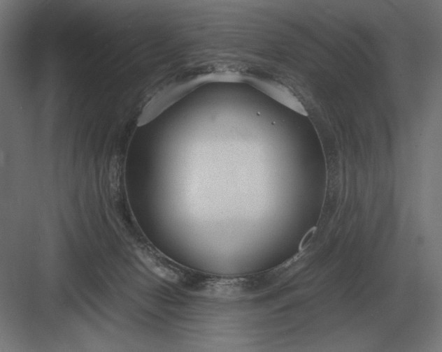 X0000083000078200702160100