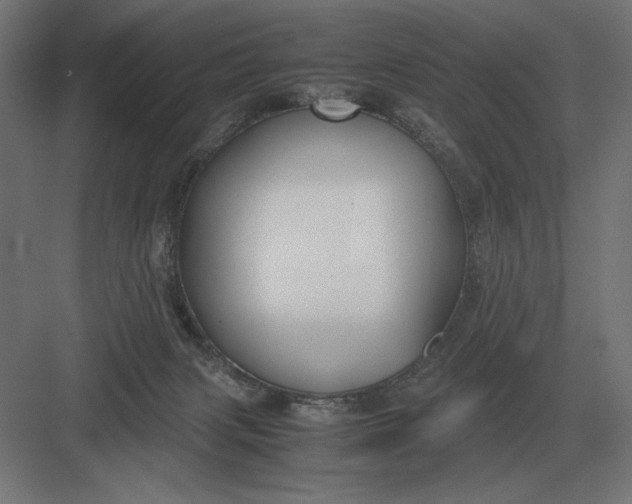 X0000083000079200702160100