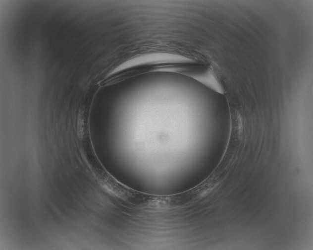 X0000083000080200702160100