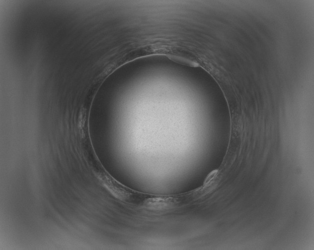 X0000083000082200702160100