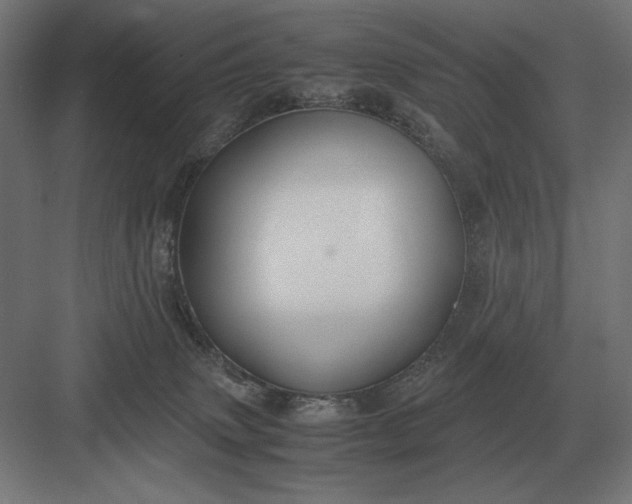 X0000083000083200702160100