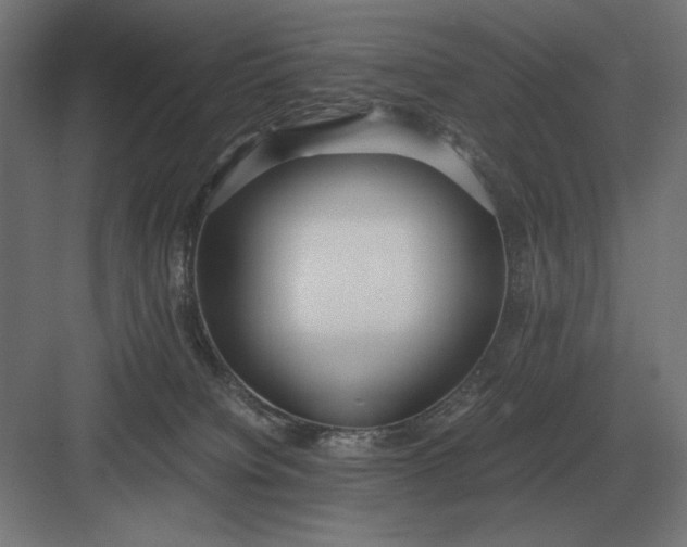 X0000083000084200702160100