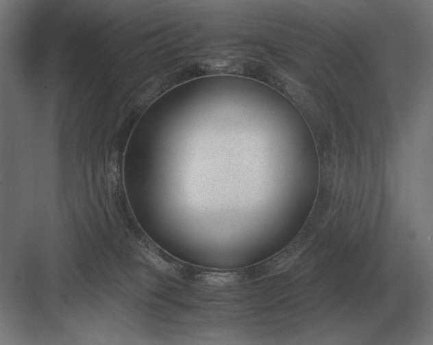 X0000083000085200702160100