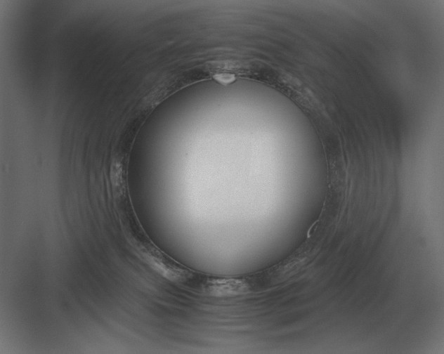 X0000083000087200702160100