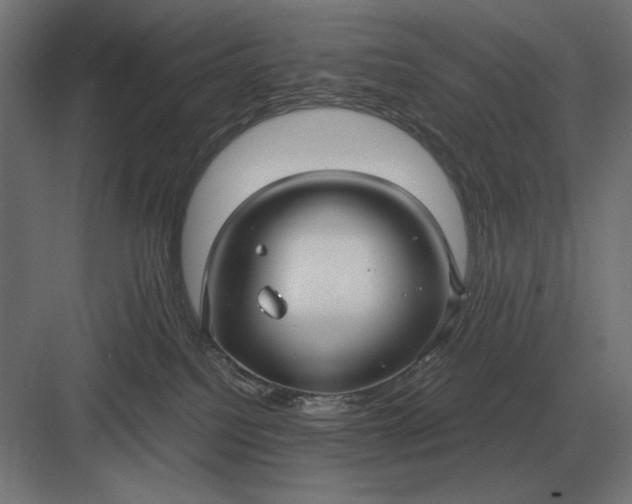 X0000083000088200702160100