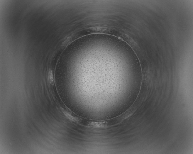 X0000083000089200702160100