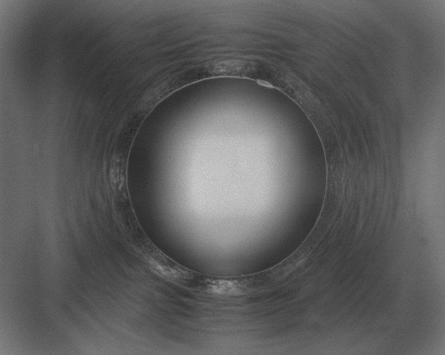 X0000083000091200702160100