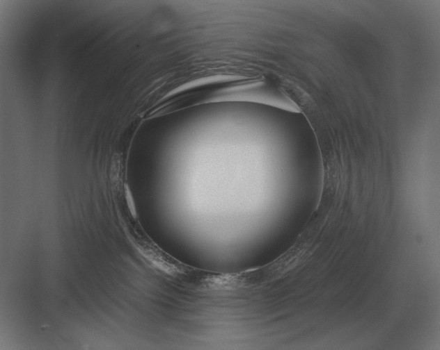 X0000083000092200702160100