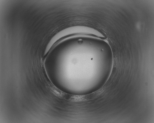 X0000083000093200702160100