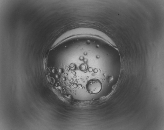 X0000083000094200702160100