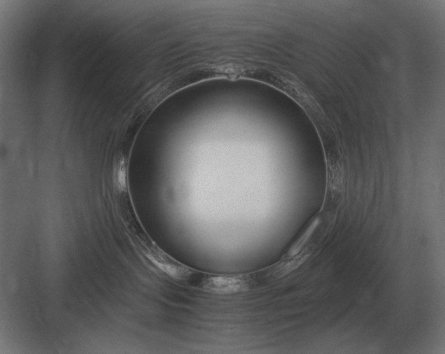 X0000083000095200702160100