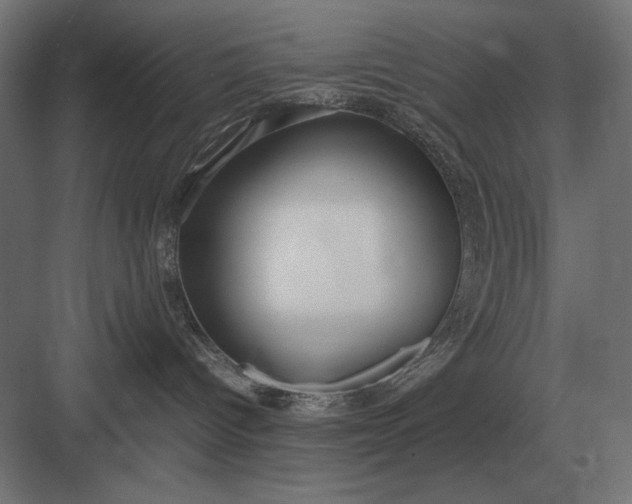 X0000083000096200702160100