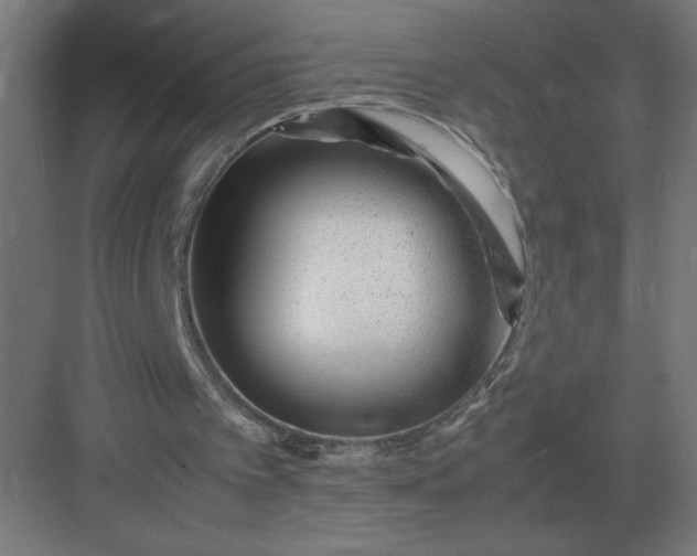 X0000083000097200702160100