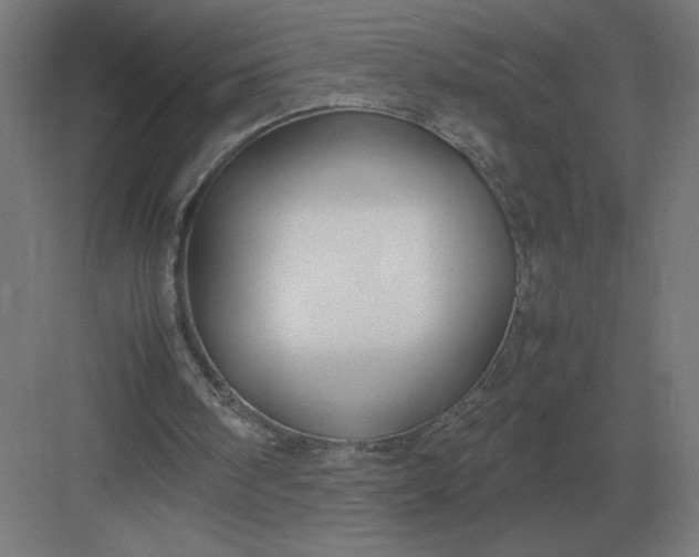 X0000083000098200702160100