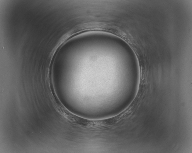 X0000083000099200702160100