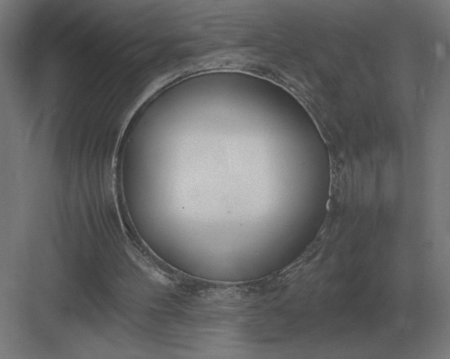 X0000083000100200702160100