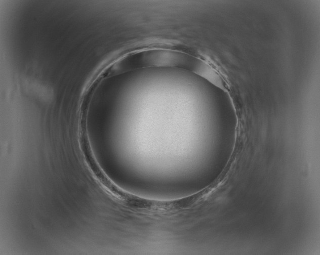 X0000083000101200702160100