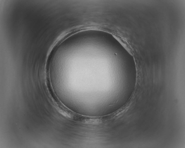 X0000083000102200702160100