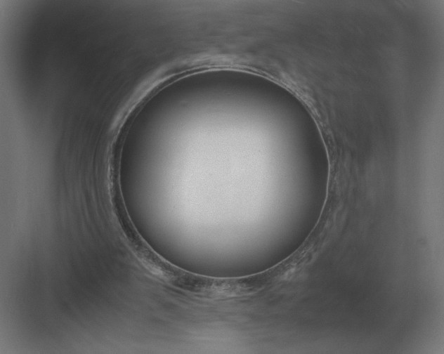 X0000083000103200702160100