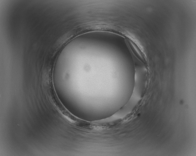 X0000083000105200702160059