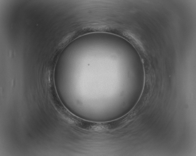 X0000083000115200702160059