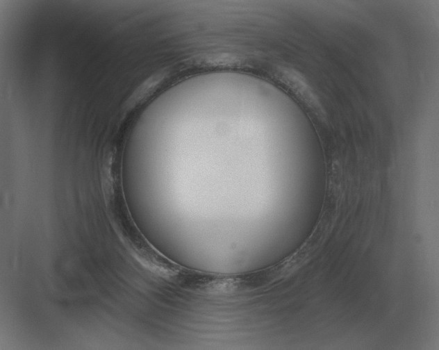 X0000083000116200702160059