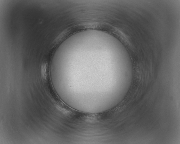 X0000083000118200702160059