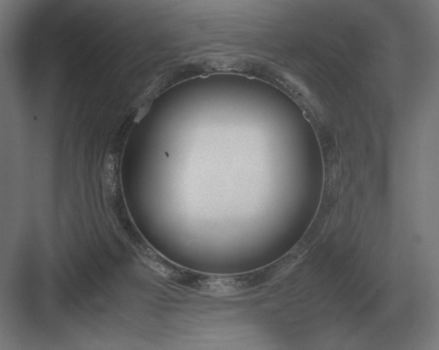 X0000083000121200702160059