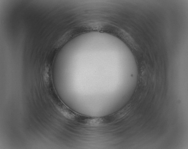 X0000083000122200702160059