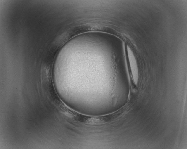 X0000083000123200702160059