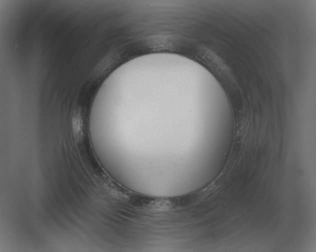 X0000083000124200702160059