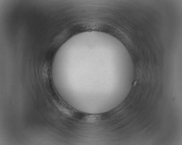 X0000083000126200702160059