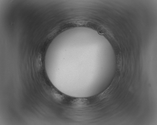 X0000083000128200702160059