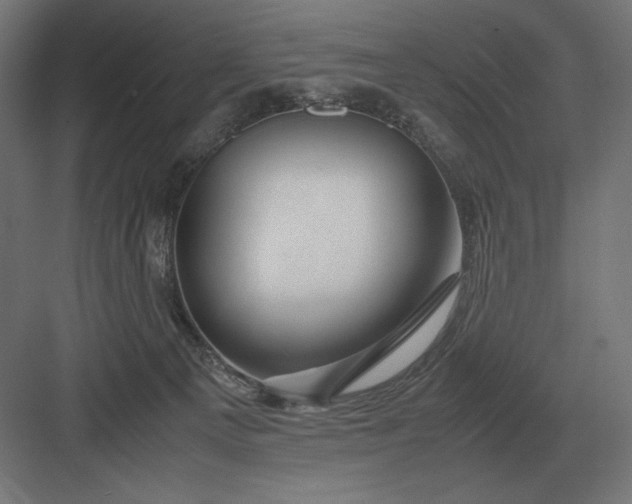 X0000083000129200702160059