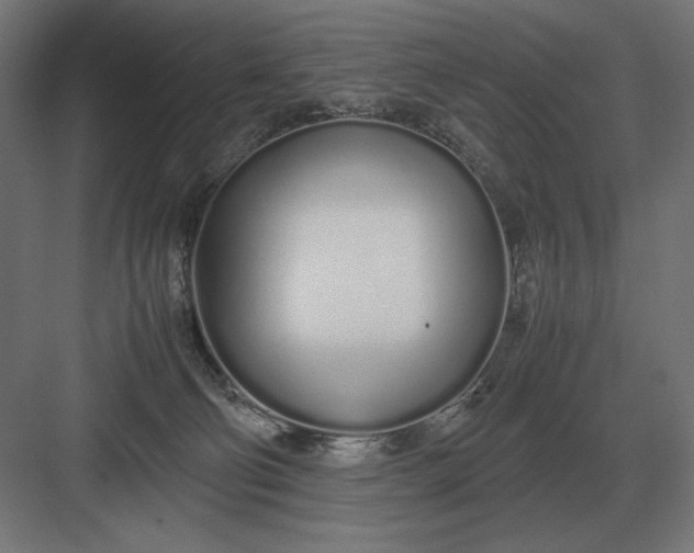 X0000083000130200702160059