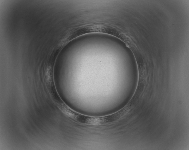 X0000083000131200702160059