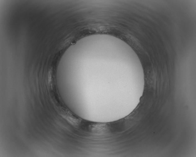 X0000083000132200702160059