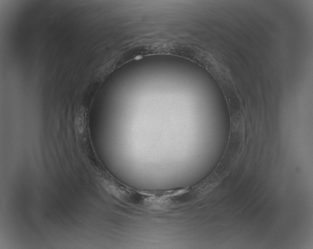 X0000083000133200702160059