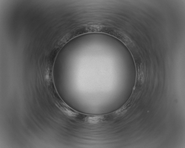 X0000083000134200702160059