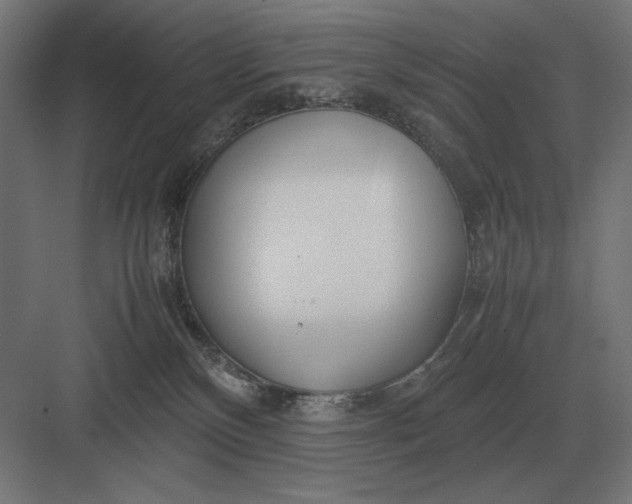 X0000083000136200702160059