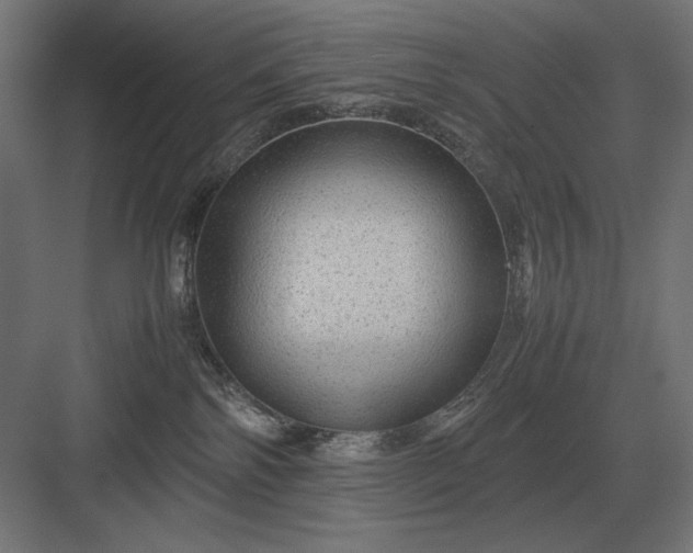 X0000083000138200702160059