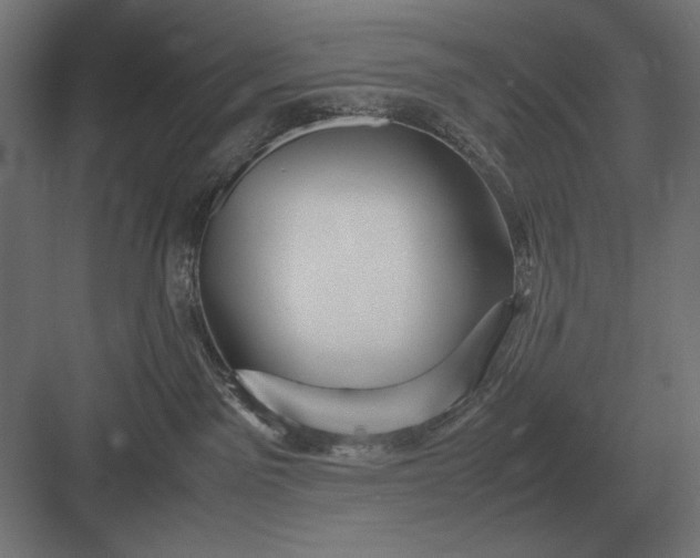 X0000083000141200702160059