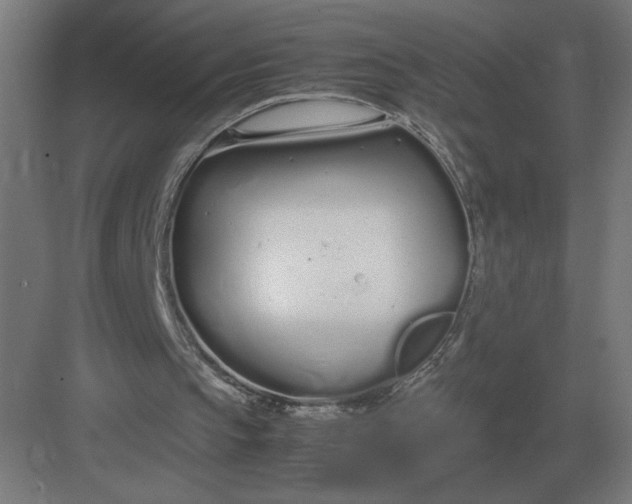 X0000083000145200702160058