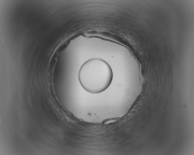 X0000083000146200702160058