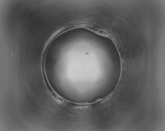 X0000083000147200702160058