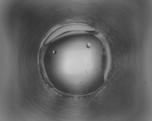 X0000083000148200702160058