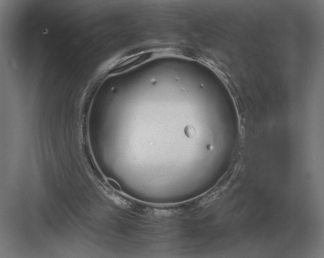 X0000083000149200702160058