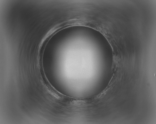 X0000083000150200702160058