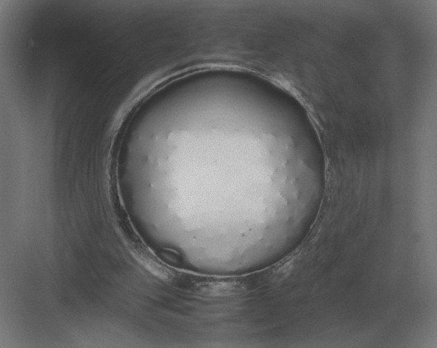 X0000083000151200702160058